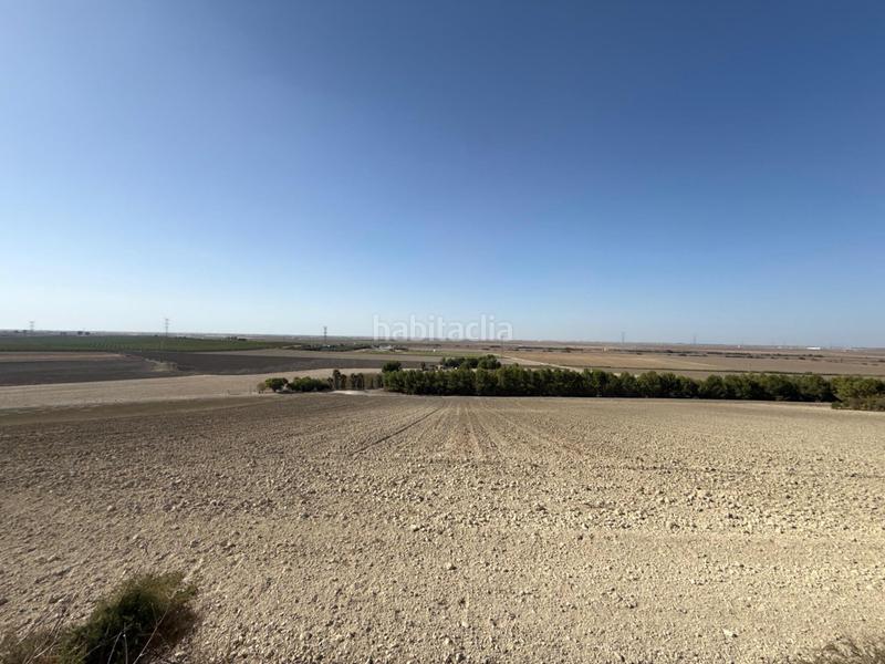 Foto e9c4d6a9-3c25-4cde-80db-f97e0c58bc45. Landgut in Lebrija