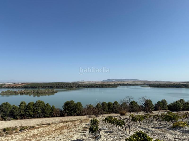 Foto ed337a0a-1d5e-477a-9519-158bcc3db0d7. Landgut in Lebrija