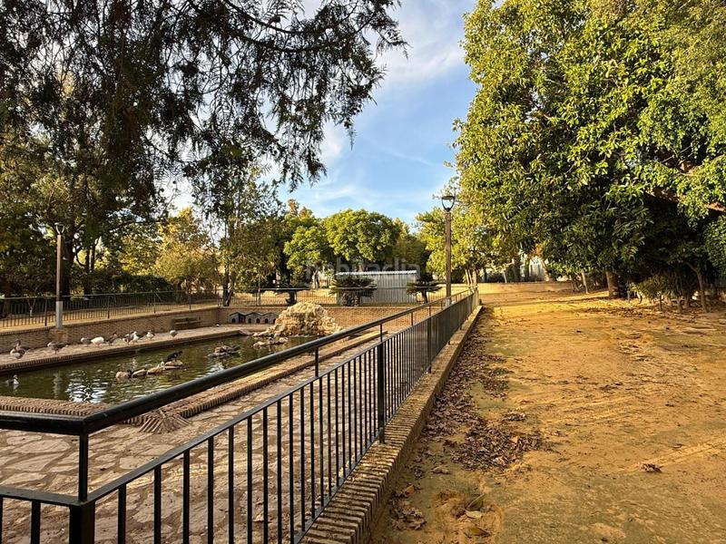 Foto 5b5c750a-1f97-4be4-be2b-599aa35d3ca6. Casa bifamiliare in Trebujena