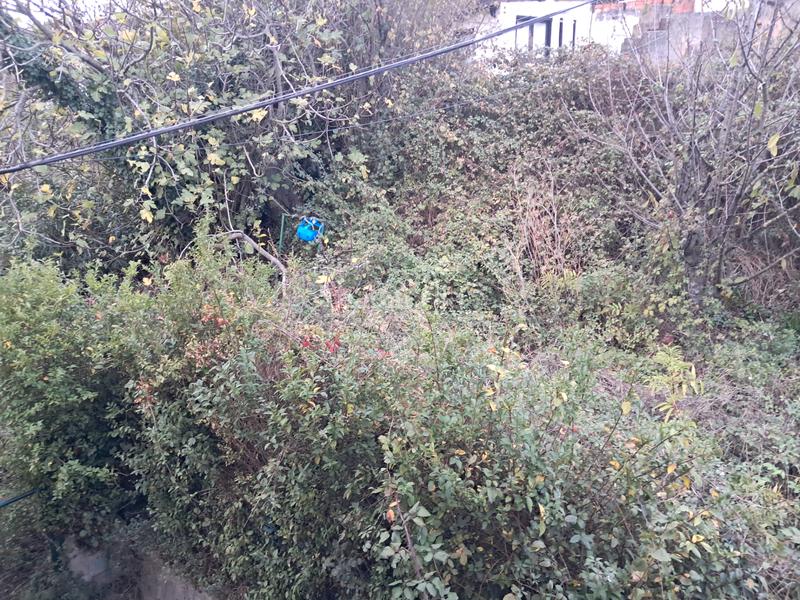 Foto 840e2934-a51b-4204-944d-3966ed9681c1. Pis a Erandio