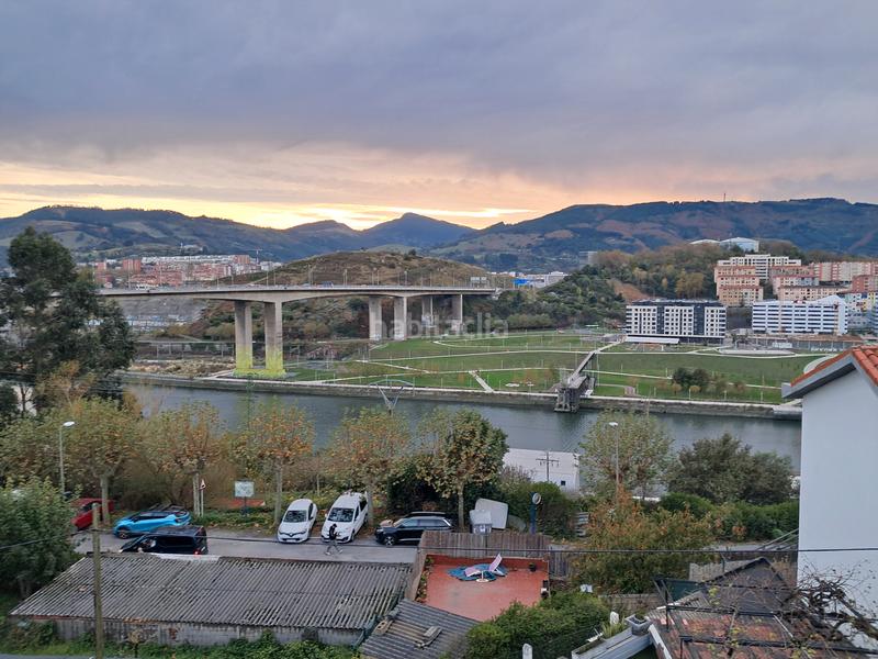 Foto ef40e8d8-5318-4e50-b43a-5b52a5a5537a. Pis a Erandio