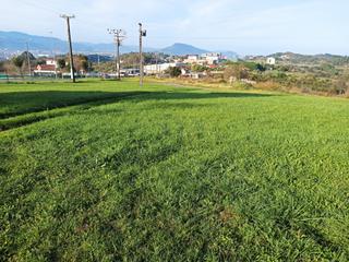 Finca rústica  Leioa-unbe errepidea. Txoko con precioso terreno en goierri