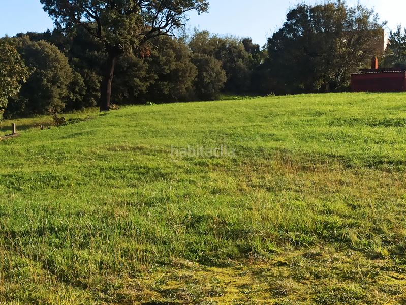 Foto a227be20-2b8b-4f54-a309-cff6b8e61235. Fondo rustico in Erandio