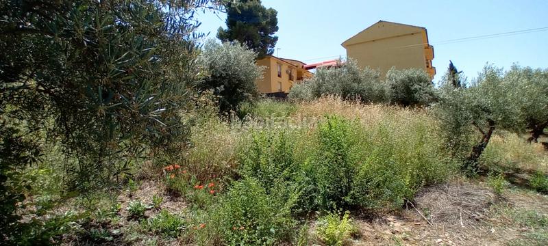 Foto 08782358-b9e1-49f6-b1a6-7fdf4a1d0109. Wohngrundstück in carretera tarancón 15 in Pastrana