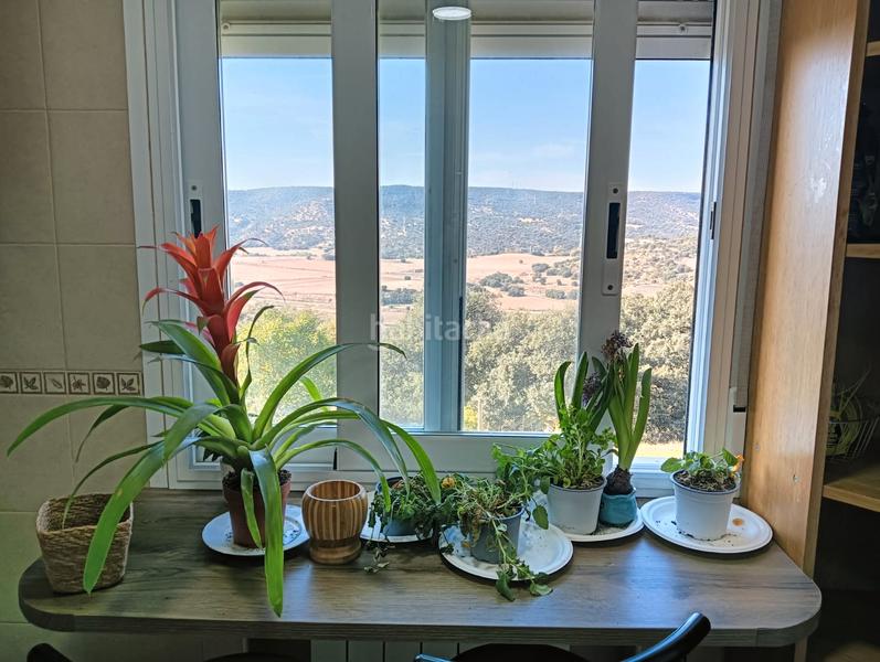 Foto 13d2eb4c-d7d8-4235-b38d-eb7bea6e0cf6. Chalet in urbanizacion las fuentes 813p in Fuentenovilla