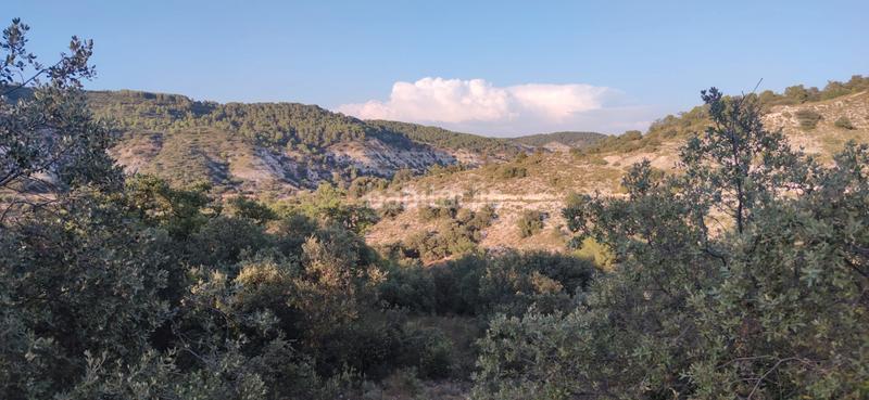 Foto 6113cce5-993b-4eb5-b789-7bd17d3d324f. Xalet 180m<sup>2</sup> a camino manzanos 102 a Hontoba