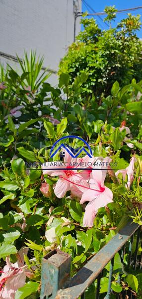 Foto 62d2f0f7-a08a-4234-9493-caf93667ff2a. Duplex avec chauffage dans Monteolivete-Camino Sevilla Sanlúcar de Barrameda