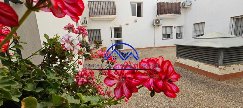 Foto db85d0bd-a970-4418-aab1-adbd53b2a65d. Dachwohnung in Ayuntamiento-Barrio Alto Sanlúcar de Barrameda