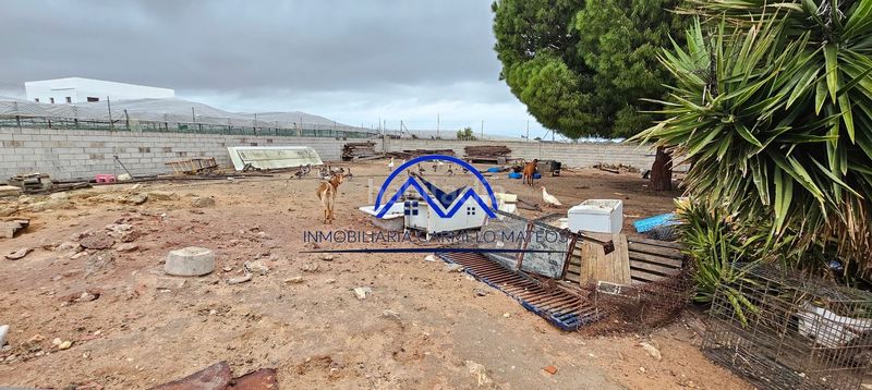 Foto 3a3c2109-81d9-40e6-9e84-1bc64eac98b7. Finca rústica a La Jara Sanlúcar de Barrameda