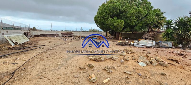 Foto de98349e-3711-45d7-97da-a21d47858b84. Finca rústica a La Jara Sanlúcar de Barrameda