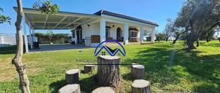 Maison en Ctra Jerez-Ctra del Puerto. Ref icm008 parcela con casa y piscina