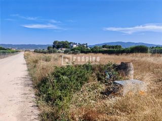 Terreny residencial en Cm silla 12. Oportunidad �nica en sangonera la seca!