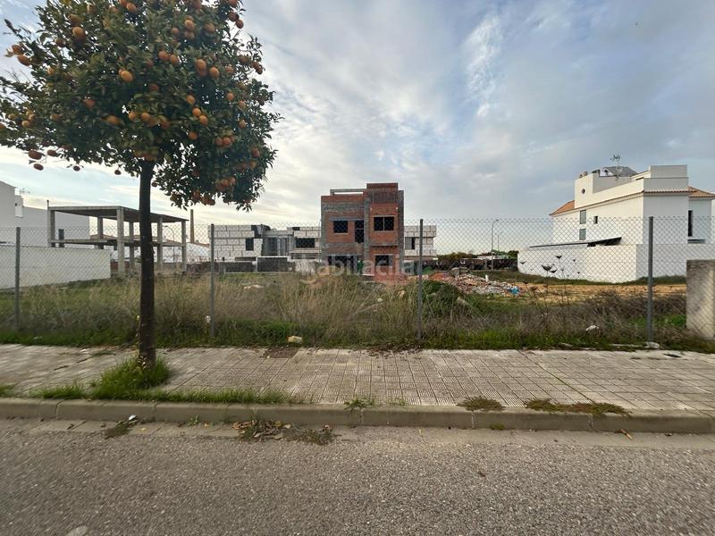 Foto 35d994bb-b845-40ba-a9a8-bceebd6a1a53. Terreno residencial solar edificable en Consolación Utrera