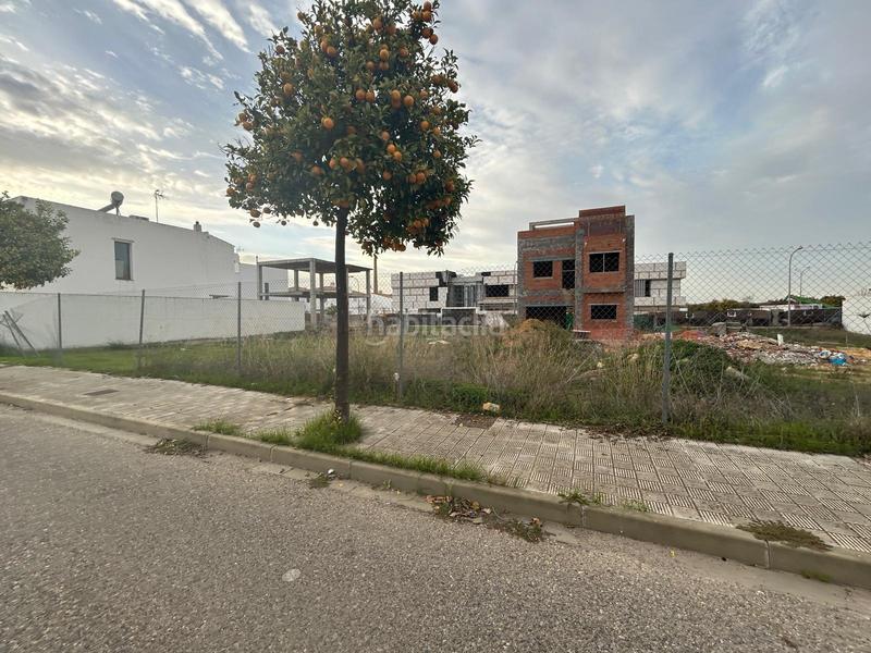 Foto 8189c99e-4e27-4ba3-a92f-5edf9cf956aa. Terreno residencial solar edificable en Consolación Utrera