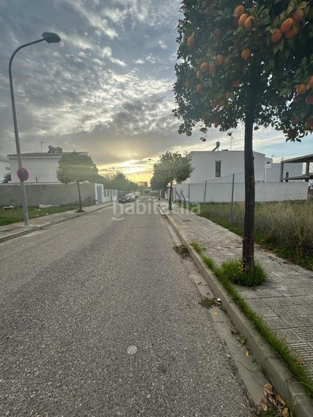 Foto 8287c903-2b13-4ec5-8e33-1aa0f496e868. Terreno residencial solar edificable en Consolación Utrera