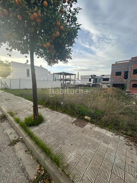 Foto 9ddcadee-c914-4e28-811d-5be33113efba. Terreno residencial solar edificable en Consolación Utrera