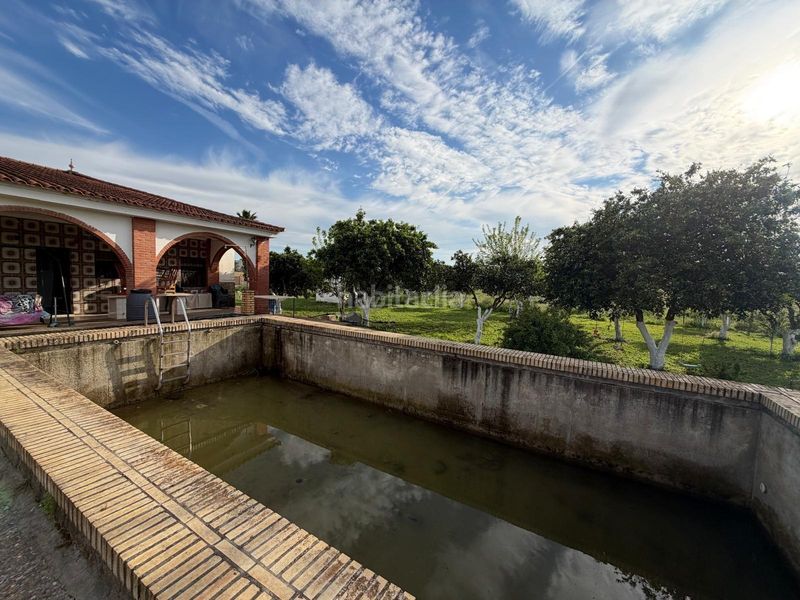 Foto a3bc742e-958a-4c83-ab6c-0ba3f3e052ed. Casa a Pedanías Norte Utrera