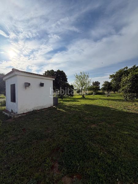 Foto b1b2c252-ee1c-4bd3-a0a6-98096b58d11c. Casa a Pedanías Norte Utrera
