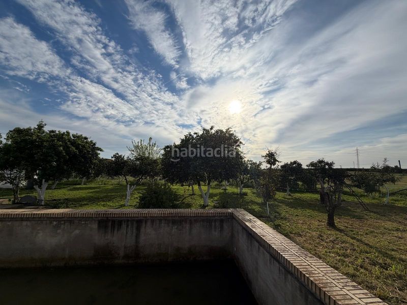 Foto f9dd3ef8-24db-43d9-b5c4-6524b596b104. Casa a Pedanías Norte Utrera