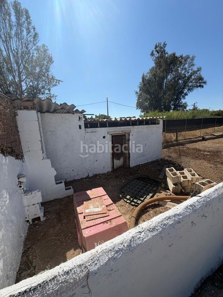 Foto 8084a660-5f64-4f70-8ff1-845b34b12953. Masia a Pedanías Norte Utrera