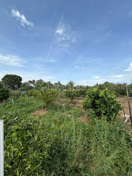 Foto a36e4c83-13f7-4801-a55d-c1e5aa5282d0. Masia a Pedanías Norte Utrera