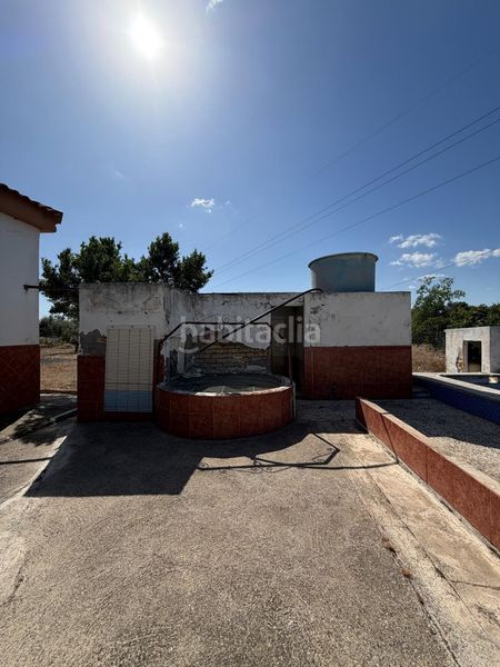 Foto 14794de0-ed65-45ff-af69-9c17e08984b5. Maison dans Pedanías Sur Utrera