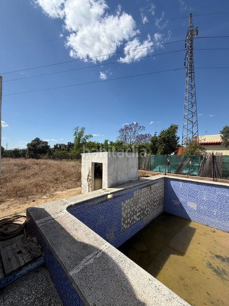 Foto 1e7ce516-a114-4df3-8f58-44934df35645. Maison dans Pedanías Sur Utrera