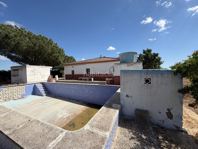 Foto 494820d3-4fa1-4a74-b53c-de2ebb438fac. Maison dans Pedanías Sur Utrera
