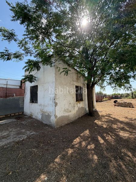 Foto 6a73202c-a92f-48f9-8e9a-aec1d7ee193e. Maison dans Pedanías Sur Utrera