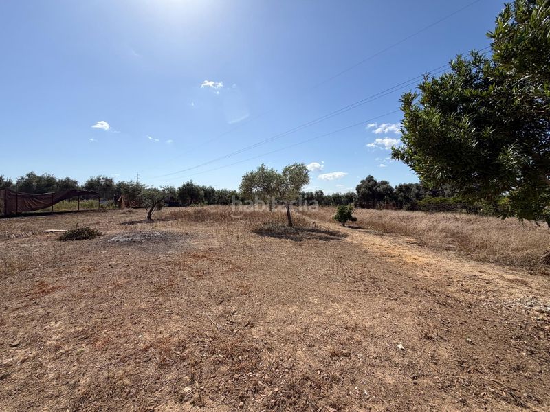 Foto 9a7b9e17-a6a1-440c-b8d9-53aa561c7862. Maison dans Pedanías Sur Utrera