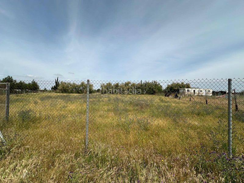 Foto 51ca4604-788a-4be8-9271-527e54202802. Finca rústica a Las Torres - Constelaciones Utrera