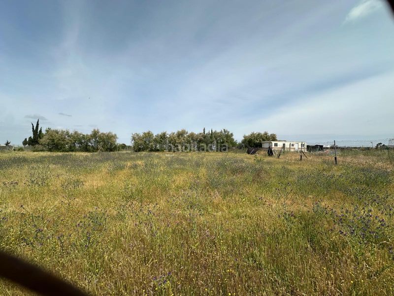 Foto cc389a06-3a81-4fe6-bcfd-1873c856c342. Finca rústica a Las Torres - Constelaciones Utrera