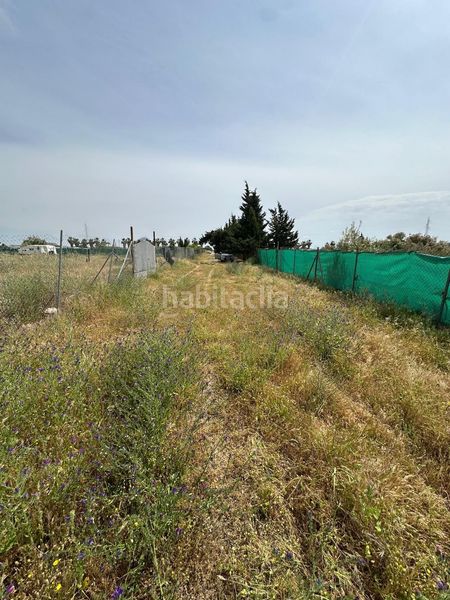 Foto dbb9d00f-786e-45f1-b009-94f9135387d6. Finca rústica a Las Torres - Constelaciones Utrera