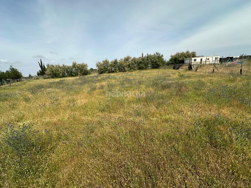 Foto fb1fbc71-ad83-4152-a433-3330fcf53cda. Finca rústica a Las Torres - Constelaciones Utrera