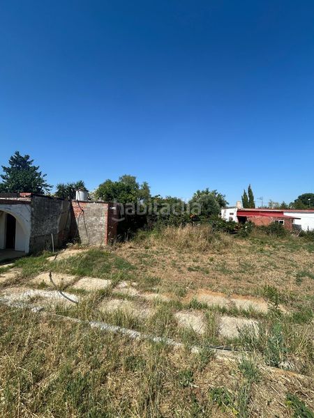 Foto 9de9f87e-ccc5-448c-b445-72ea22b4f016. Maison dans Pedanías Norte Utrera