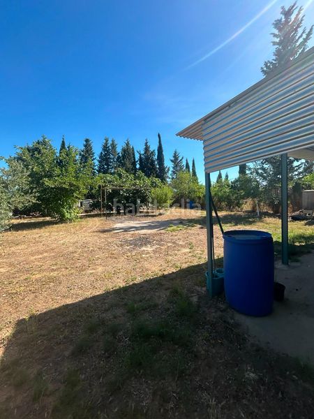Foto f99ed4e0-5093-4aed-9380-1751dfc92811. Terreny residencial a Pedanías Norte Utrera