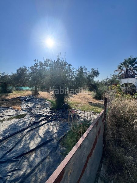 Foto ef114771-20b9-4632-81d8-c498b35b66a4. Masia a Pedanías Norte Utrera