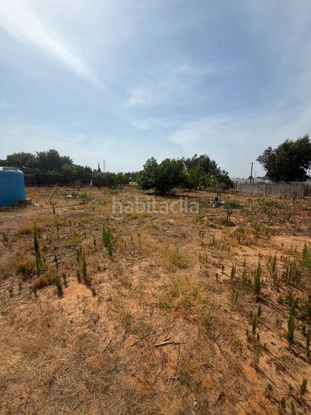 Foto 4b1ff851-c731-4d01-9392-a66523bc99cf. Casa a Pedanías Norte Utrera