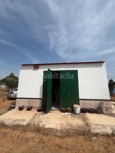 Foto c45cc807-c436-45da-8b34-e12148cc01dd. Casa a Pedanías Norte Utrera