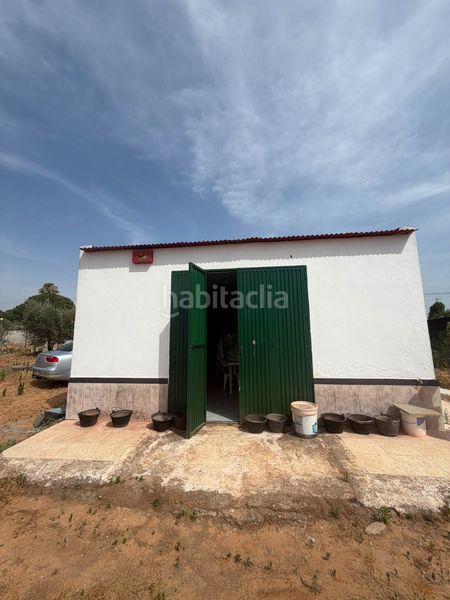 Foto ceb7b7f2-0649-4ecf-8d10-e40060a4dc8a. Casa a Pedanías Norte Utrera