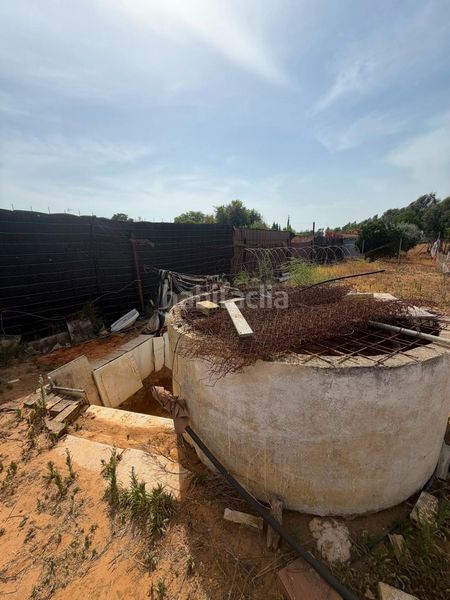 Foto e8841efc-2170-405c-a5cb-00bd6ce5994b. Casa a Pedanías Norte Utrera
