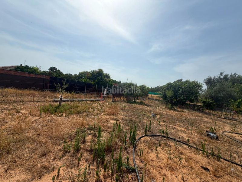 Foto eb952693-43e6-42a2-b0b6-15ae7f52813b. Casa a Pedanías Norte Utrera