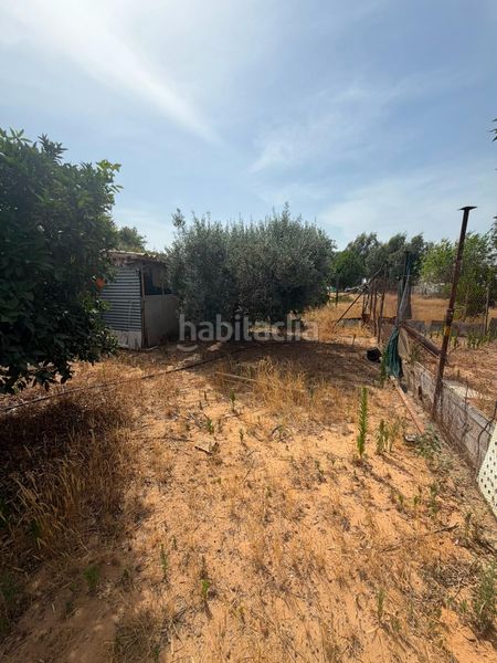 Foto f7cd367b-ff87-47e0-bf9f-9a012d6a88e6. Casa a Pedanías Norte Utrera
