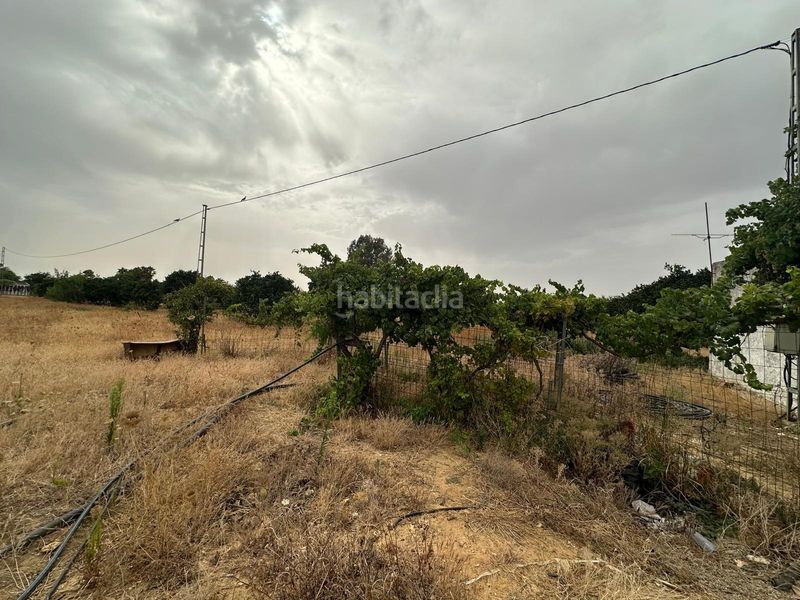 Foto a79aa52e-ff8f-4f00-997c-542b8e5bfad4. Finca rústica parcela rústica en Pedanías Norte Utrera