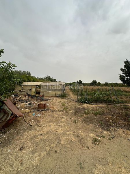 Foto acc0fa56-98fa-43e5-9295-2b12a4bed485. Finca rústica parcela rústica en Pedanías Norte Utrera