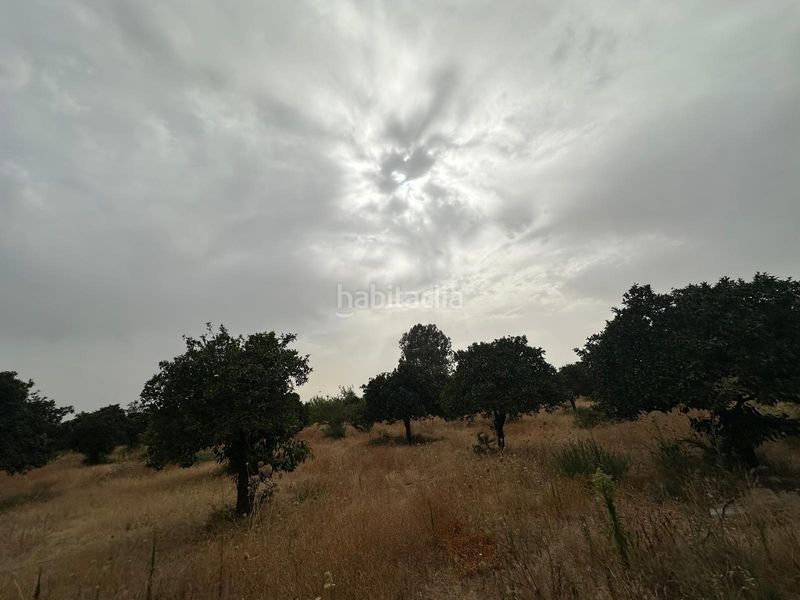 Foto b7fbbc87-d407-47bd-816c-e80679ee4648. Finca rústica parcela rústica en Pedanías Norte Utrera
