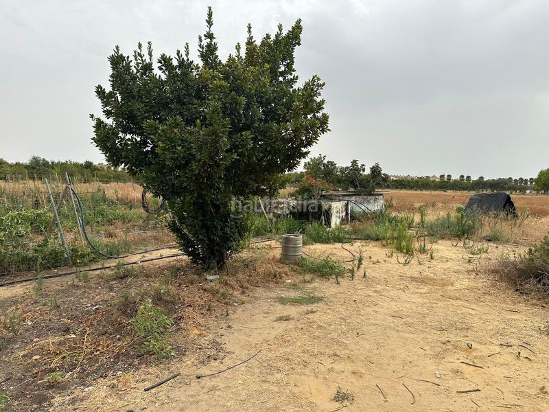 Foto dca8ea32-d336-4bce-8197-a73f888c9706. Finca rústica parcela rústica en Pedanías Norte Utrera