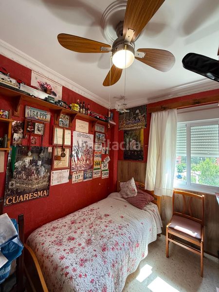 Foto 195d3a05-02be-445b-ab59-05a91d9390a1. Pis a Salesianos Utrera
