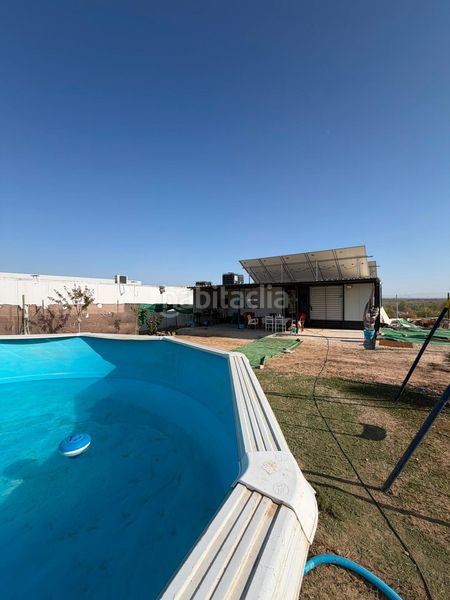 Foto a78e1b39-983f-47f2-a0e4-a0ffe84c9a05. Finca rústica a Salesianos Utrera
