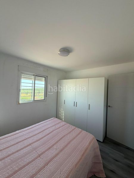 Foto a8dc6912-8d27-409e-bed8-2fe8acf7d72b. Finca rústica a Salesianos Utrera